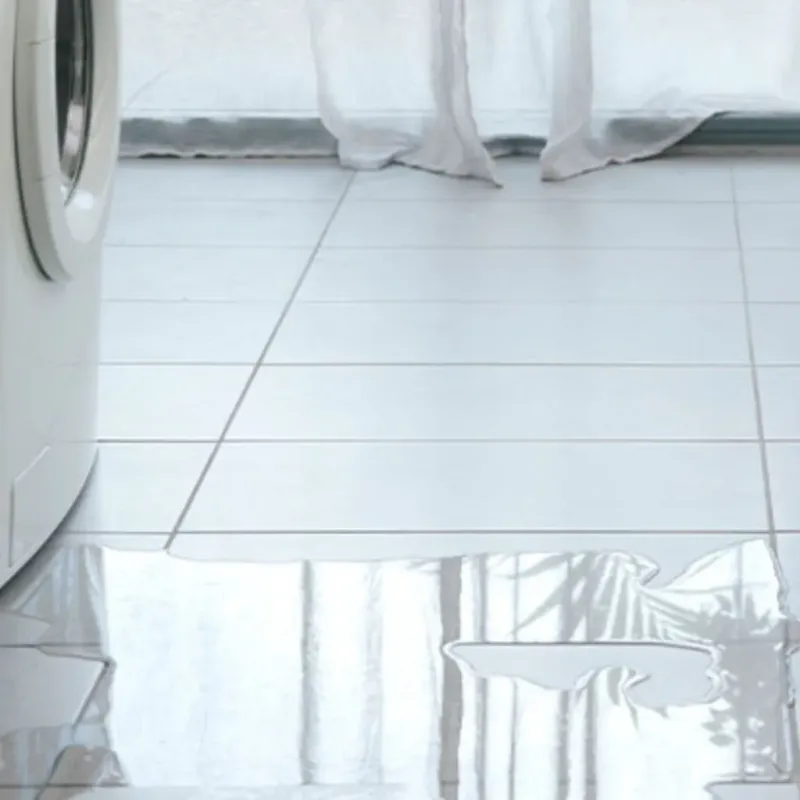 Appliance Leak Cleanup in Colrain, MA