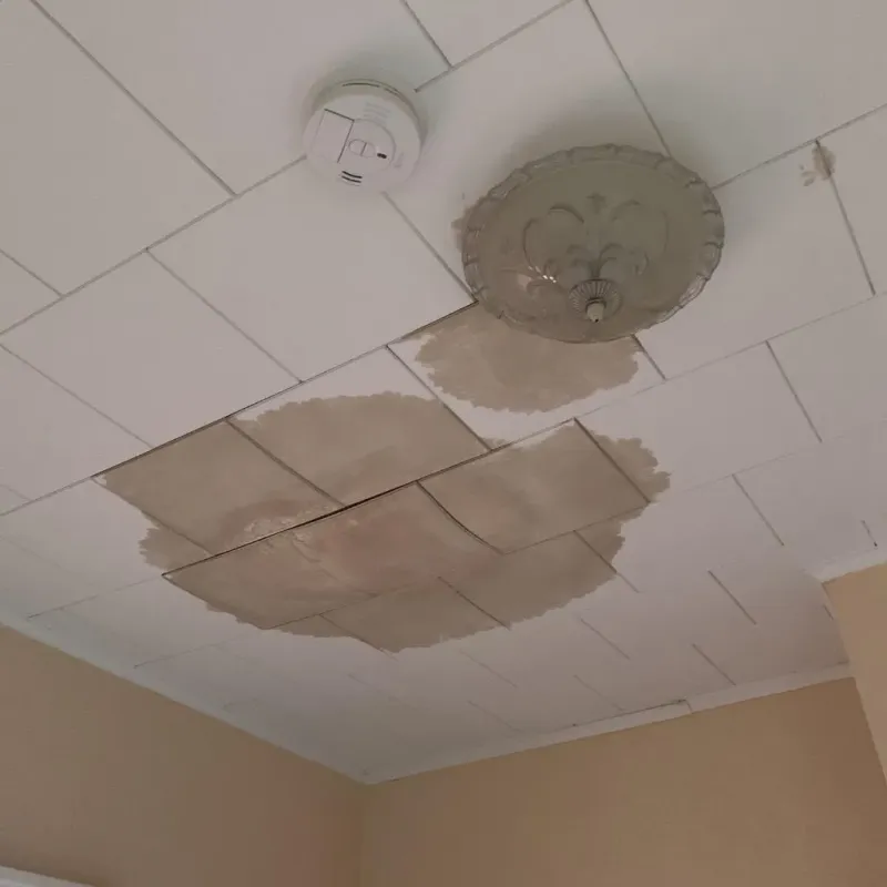 Ceiling Water Damage Repair in Colrain, MA
