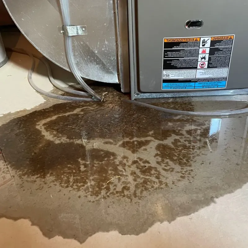 Pipe Burst and Leak Restoration in Colrain, MA
